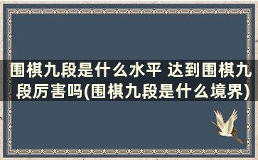 围棋九段是什么水平 达到围棋九段厉害吗(围棋九段是什么境界)